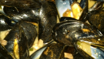 A LocalBozo.com Restaurant Review: Flex Mussels