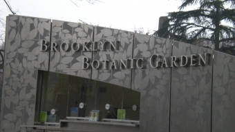 Brooklyn Botanical Garden – Chase The Winter Blues Away
