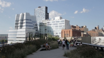 The Highline: An Elevated Urban Oasis