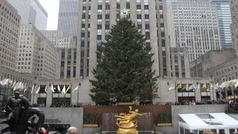 The Rockefeller Center Christmas Tree: The LocalBozo.com Five Days of Christmas