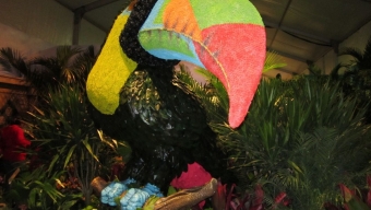 The 2012 Macy’s Flower Show