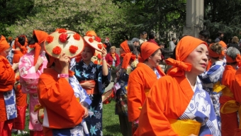 The 2012 Sakura Matsuri Festival at Brooklyn Botanic Garden
