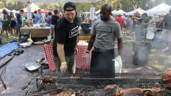 Pig Island 2012 at Governors Island