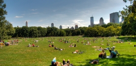 What To Do In NYC This Weekend – 8/16/13