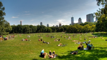 What To Do In NYC This Weekend – 8/16/13