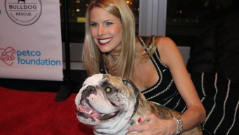 Beth Stern Hosts ‘Benefit For The Bulldogs’ at NYU