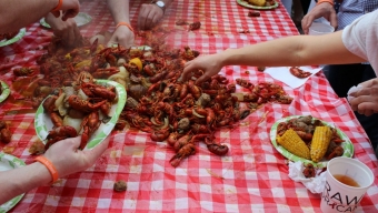 6th Annual “Crawfish for Cancer” Returns to the Boat Basin Cafe