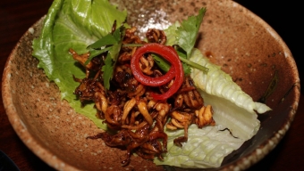 Rasa Brings Taste of Malay to Greenwich Village