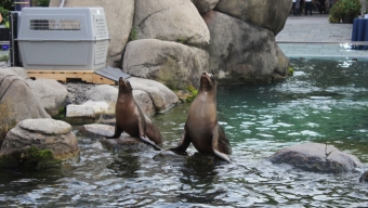 Sip For The Sea, a Feast for All Senses at the Central Park Zoo