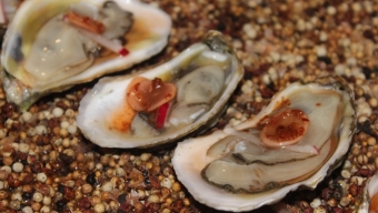 Finding the Pearls at Thrillist’s 2015 ‘Empire Oyster’