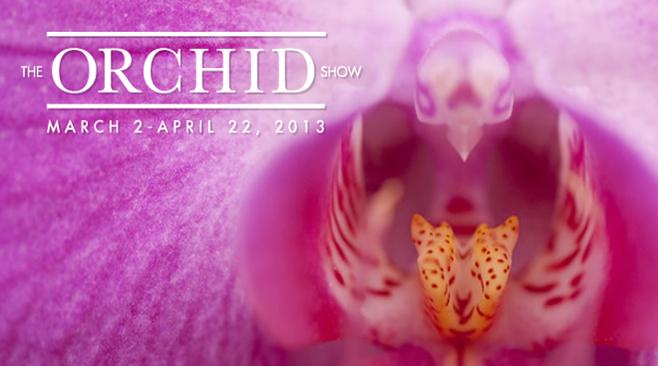 0orchid