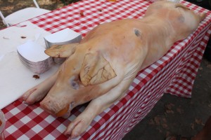 pig3