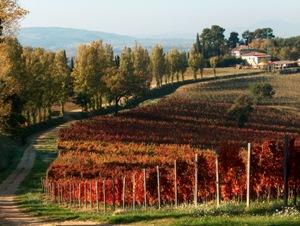 jpgSAGRANTINO AUTUNNO